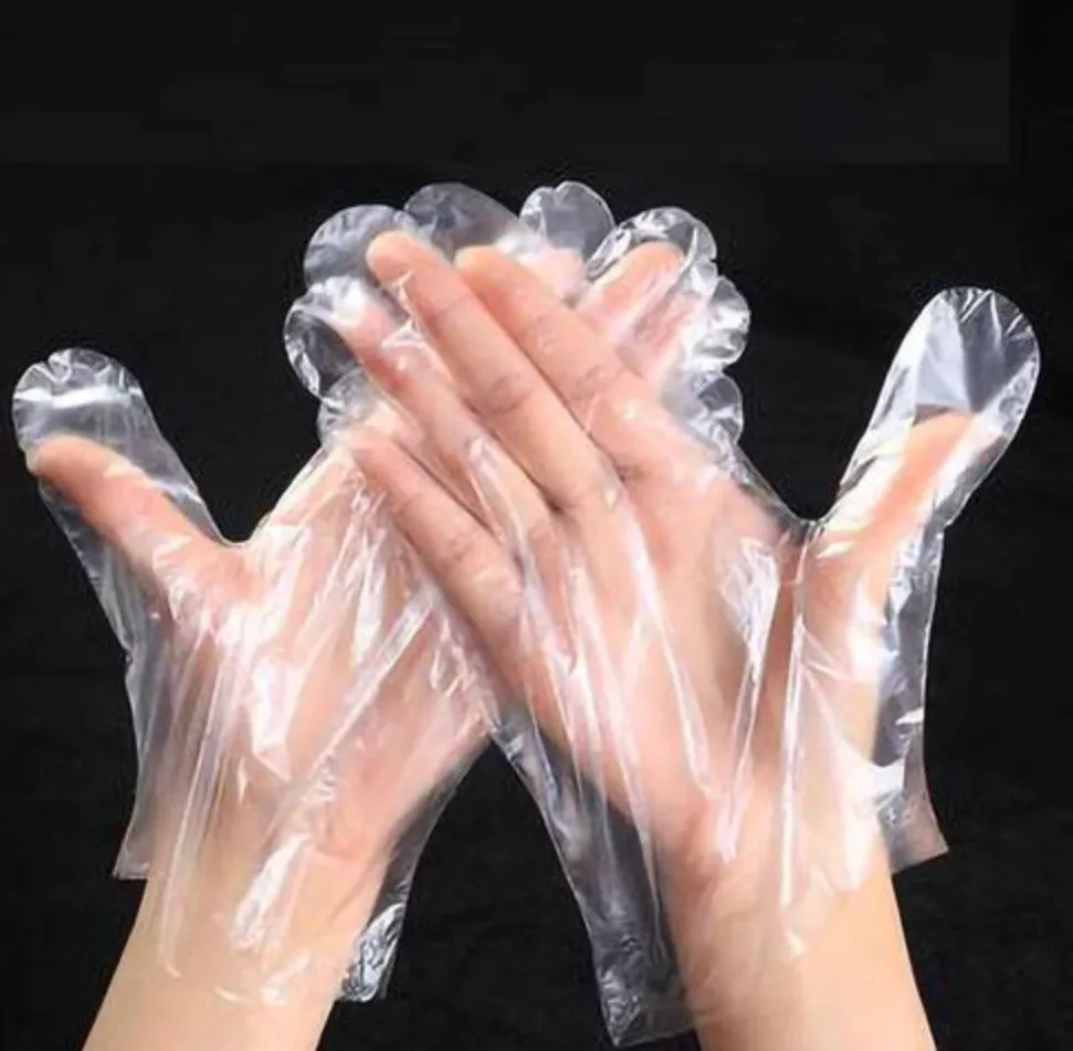 Disposable Plastic Gloves (Case of 10,000)