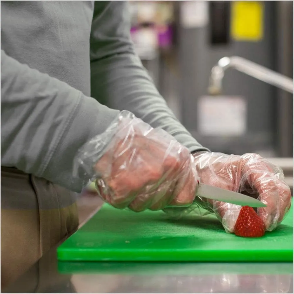 Disposable Plastic Gloves (Case of 10,000)