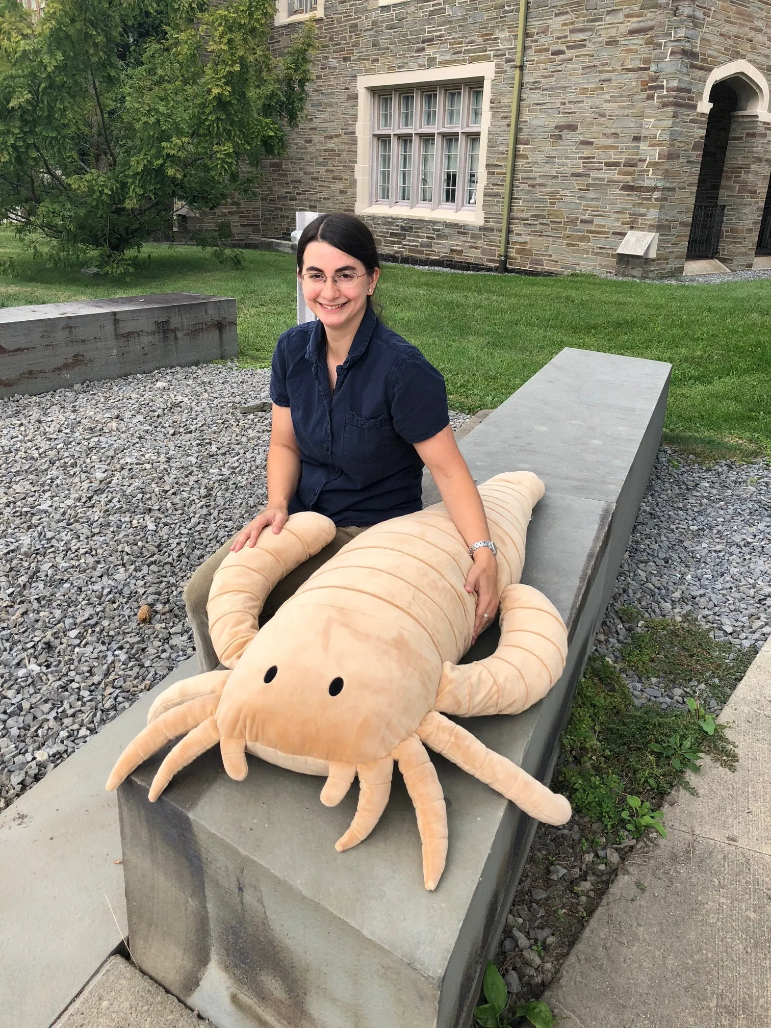 Giant Eurypterid Body Pillow