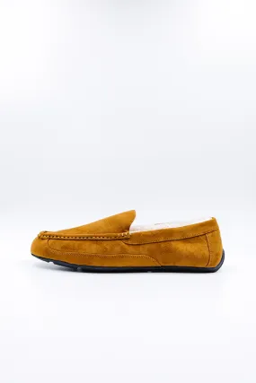 PAWJ Men's Slippers | Chestnut